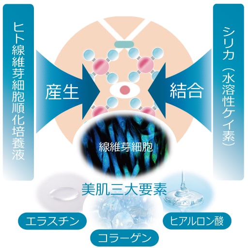cxフォトジェルの美容成分