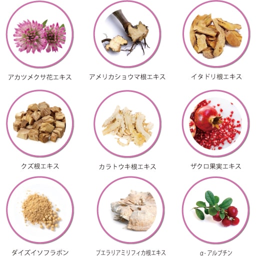 9種の植物性エキス一覧
