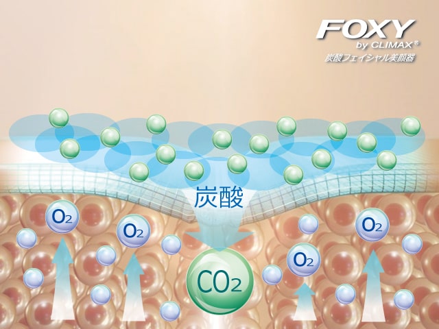 炭酸のボーア効果イメージ