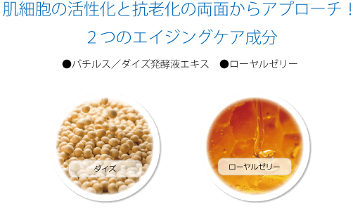 美容成分　バチルス／ダイズ発酵液エキス　ローヤルゼリー