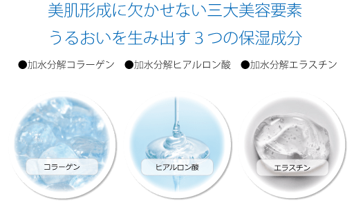 美容成分　コラーゲン　ヒアルロン酸　エラスチン