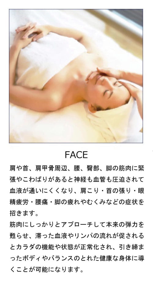 スパトリートメント,エレクトロフィールセラピー