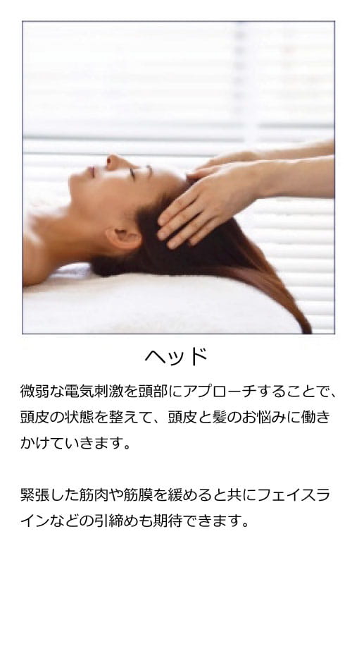 スパトリートメント,エレクトロフィールセラピー