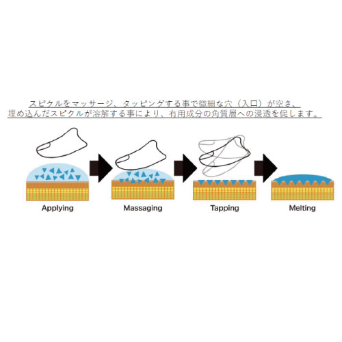 スパトリートメントeX ルーススピクル
