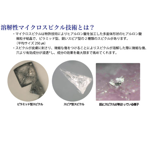 スパトリートメントeX ルーススピクル